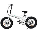 ECOTRIC 20 inch New Fat Tire Folding Electric Bike Review 3