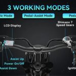 Showing front Controller features of the Boombike Bluvall K6 Fat Tire Electric Bike